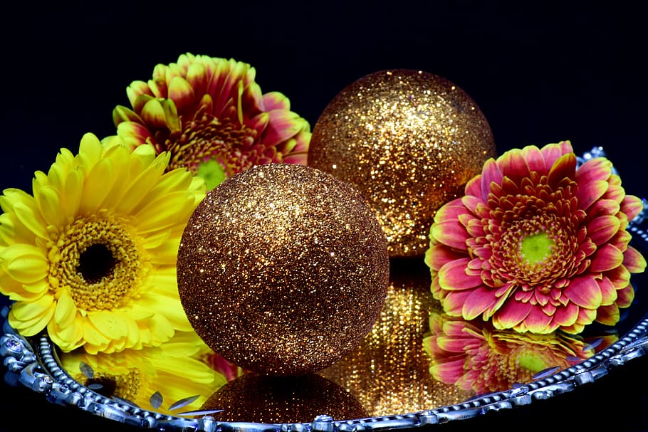 gerbera, flowers, shell, decoration, christmas, balls, close up HD wallpaper