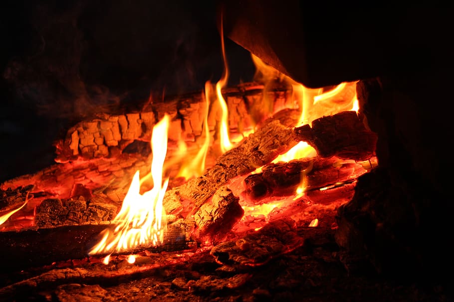 Burning Firewood, ash, bonfire, burnt, close-up, flame, heat HD wallpaper