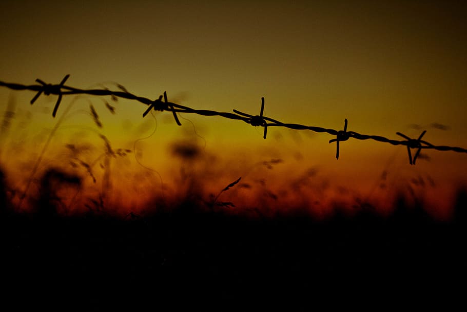 barbed wire, sky, grass, dusk, yellow, security, protection HD wallpaper