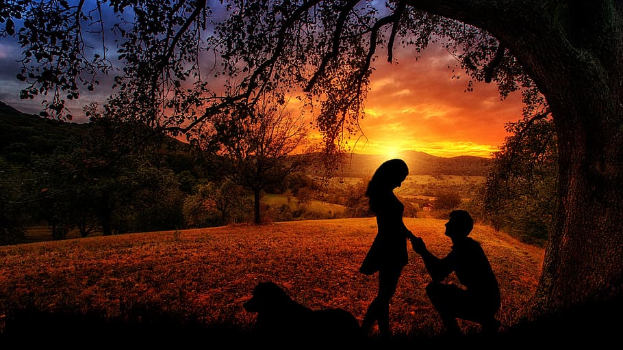 sunset, outdoors, dawn, nature, dusk, silhouette, couple, lovers, HD wallpaper