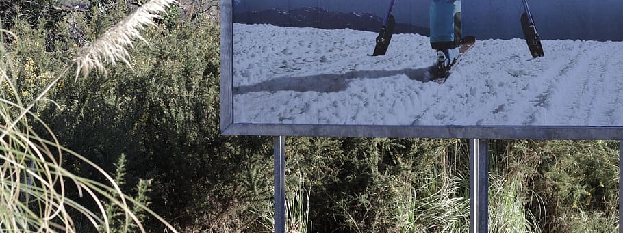 desatured, ski, billboard, plant, tree, nature, day, no people HD wallpaper