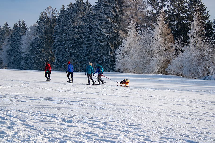 winter, landscape, human, hiking, snow, snow shoes, people HD wallpaper