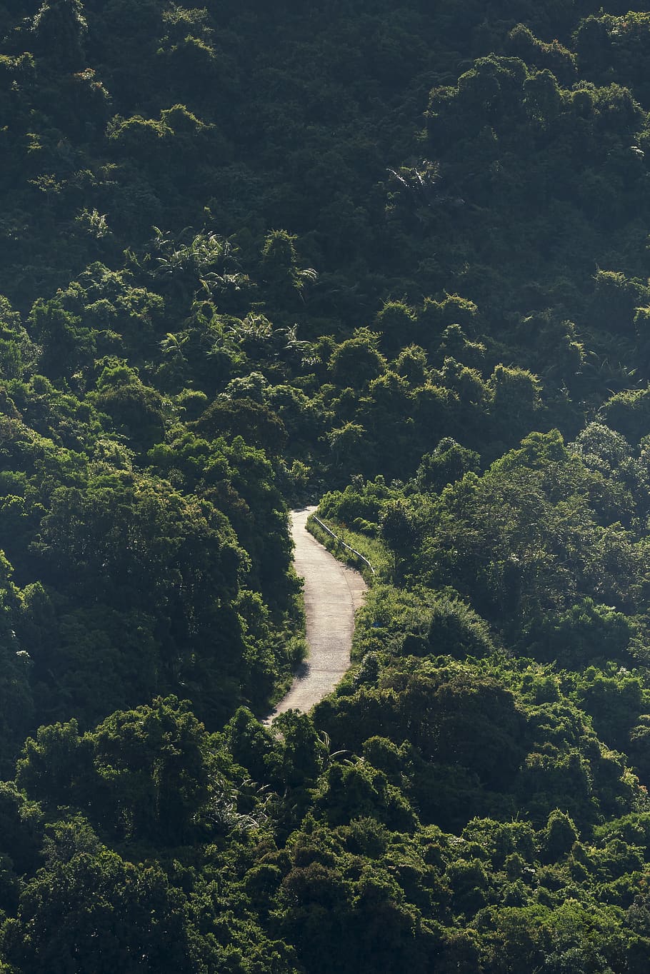Road Passing through a Forest, daylight, high angle shot, landscape HD wallpaper
