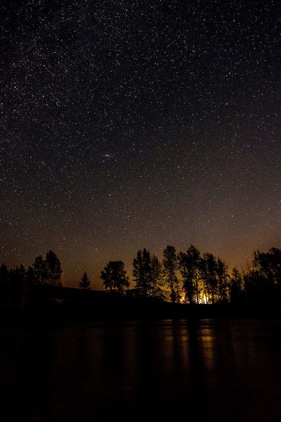 silhouette of trees during nighttime, sky, star, light, starry sky
