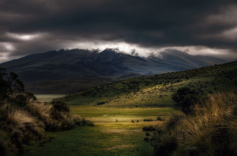 green mountains under fog, valley, overcast, cloudy, placidly, HD wallpaper