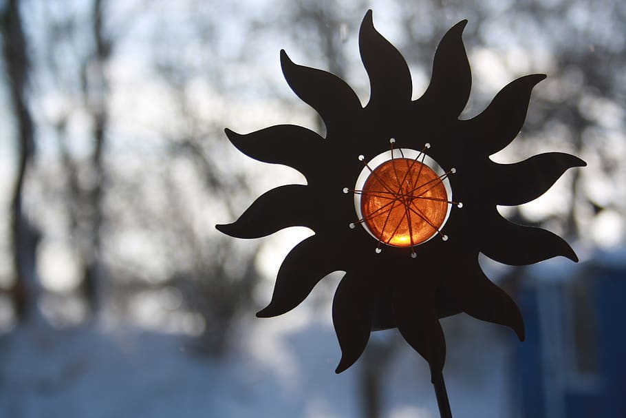 winter, snow, cold, winter magic, frost, sun, metal, glass HD wallpaper