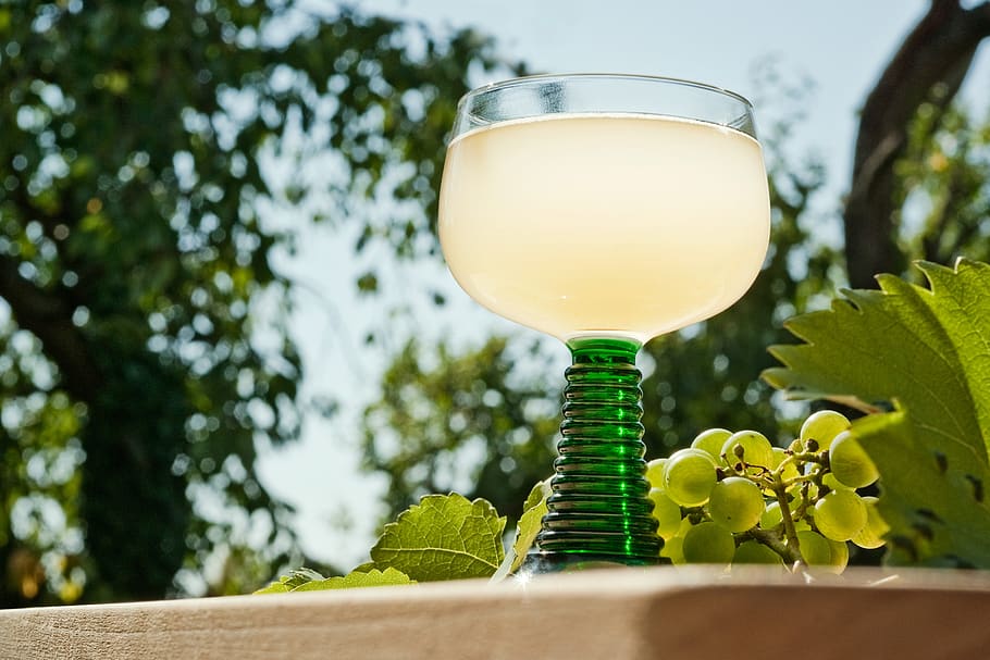 spring white, young wine, grape must, most, new wine, forward HD wallpaper