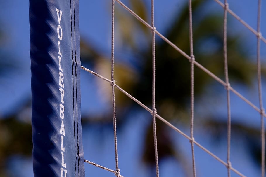 blue volleyball net, focus on foreground, metal, no people, fence HD wallpaper