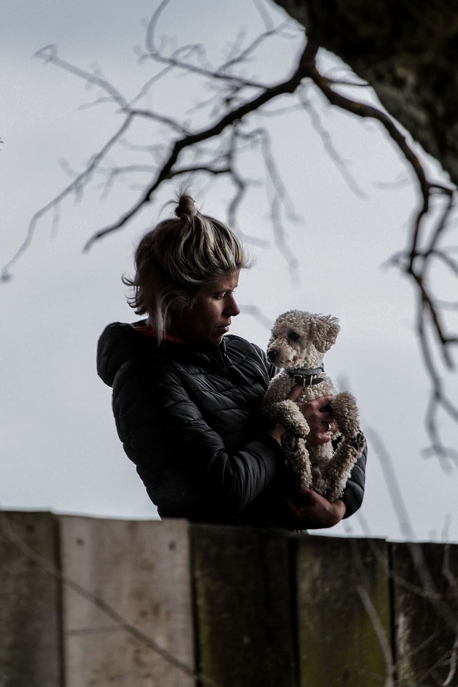 man carrying dog, human, person, poodle, animal, mammal, canine HD wallpaper