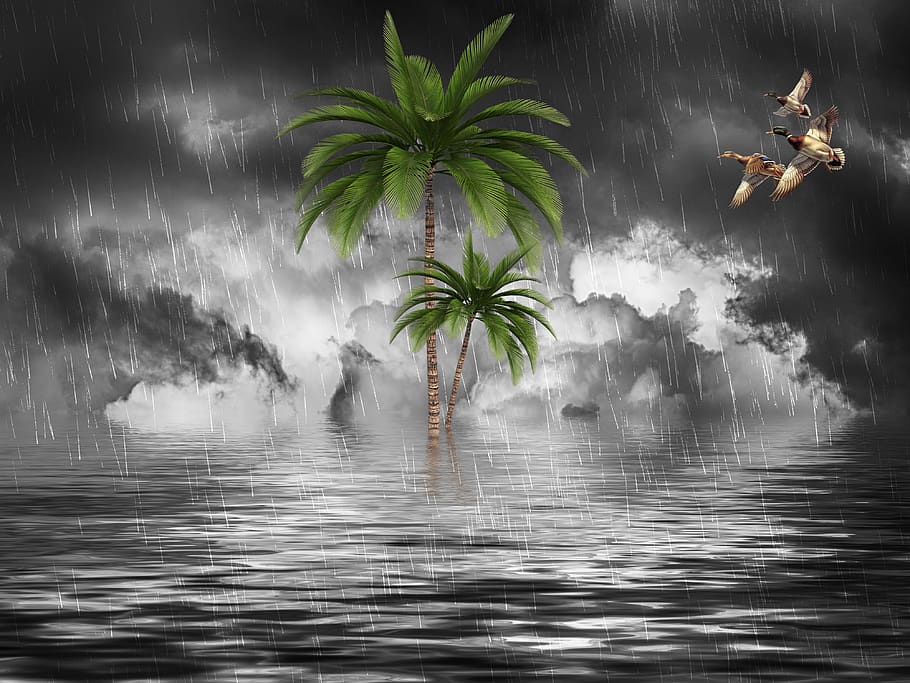 rain, cloudy, climate, river, fantasy, nature, water, cloud - sky HD wallpaper