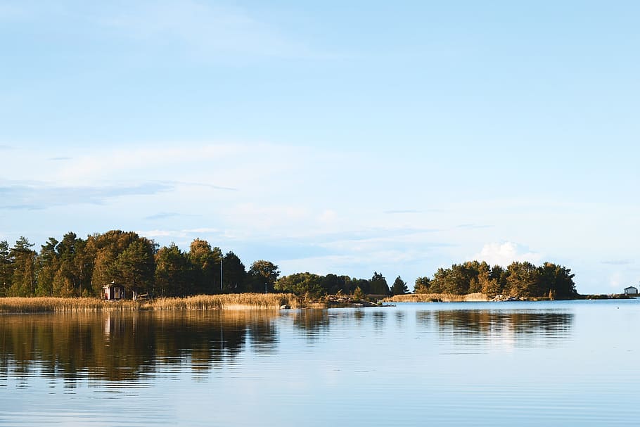 lake, tree, trees, island, water, sweden, sea, warm, sky, scenics - nature HD wallpaper