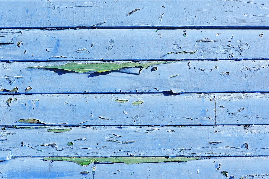 brown plank, wood, bird, animal, slate, plywood, plant, outdoors HD wallpaper