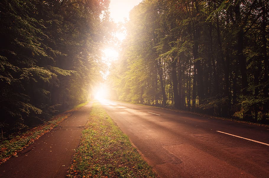 road, autumn, light, sun, trees, forest, landscape, nature HD wallpaper
