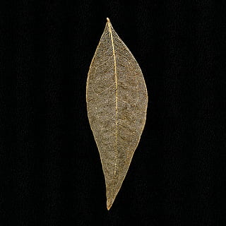brown leaf with black background, arrowhead, symbol, bronze, weapon HD wallpaper