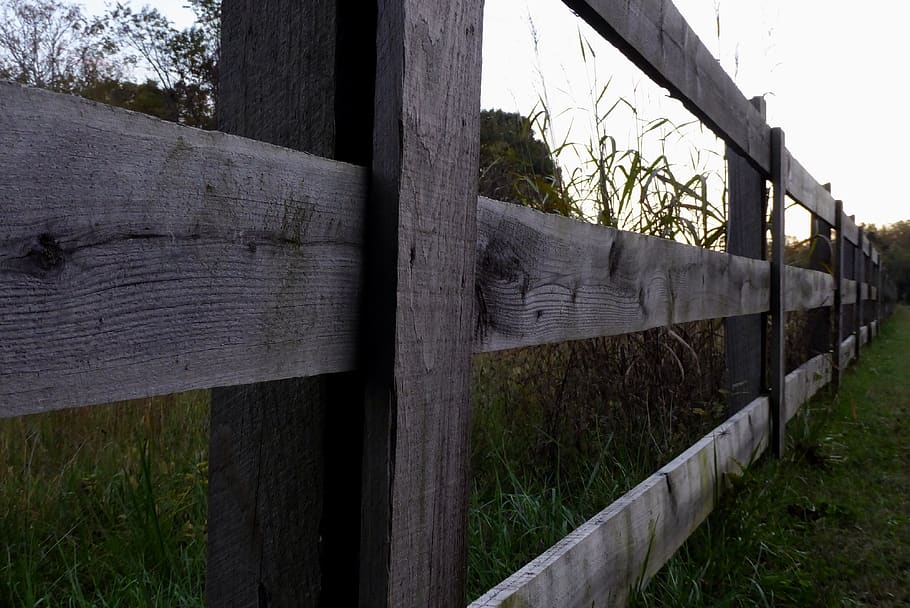 fence, field, plant, wood - material, day, grass, security HD wallpaper