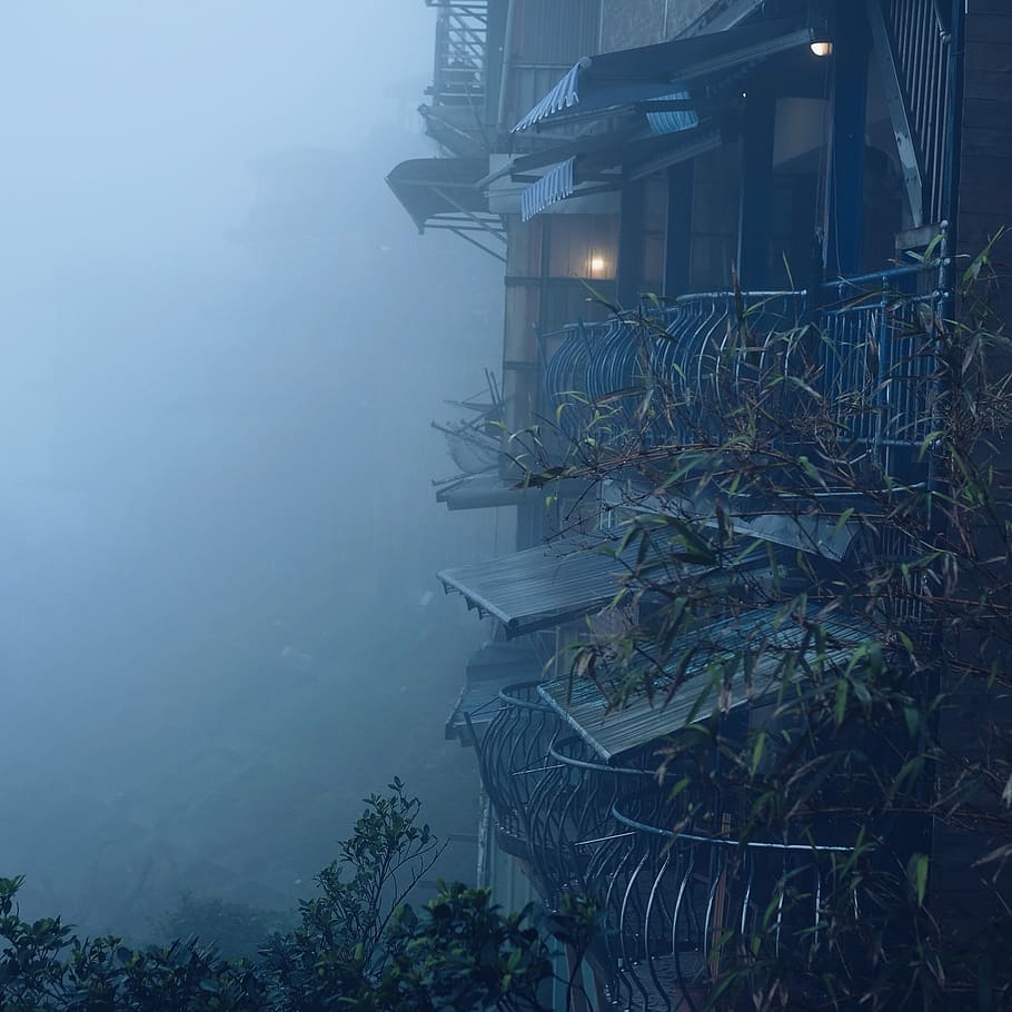 fog, building exterior, built structure, architecture, plant HD wallpaper