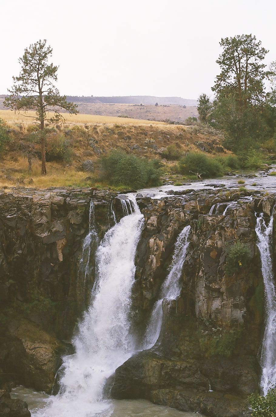 river, waterfall, tree, scenics - nature, beauty in nature HD wallpaper