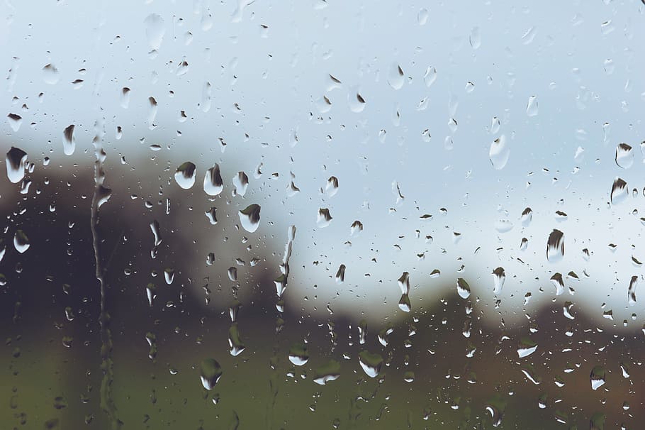 rain, drop, wet, water, window, glass - material, transparent HD wallpaper