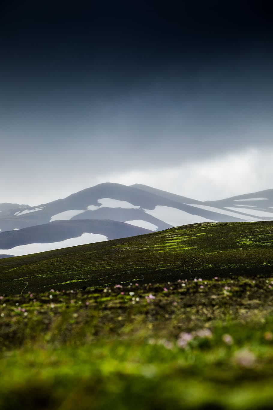 green grass field, nature, outdoors, mountain, mountain range HD wallpaper