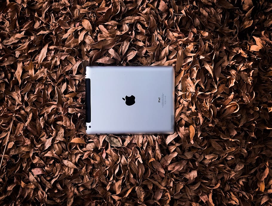 leaves, fall, ipad, apple, technology, device, product, flatlay HD wallpaper