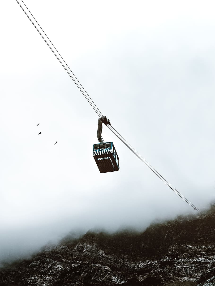 worm's eye view of cable tram under gray sky, bird, ski, white HD wallpaper