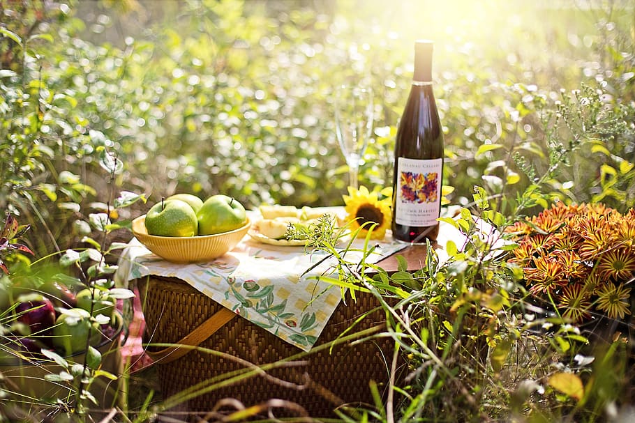 picnic, wine, apples, fall, autumn, woman, outdoors, relaxation HD wallpaper