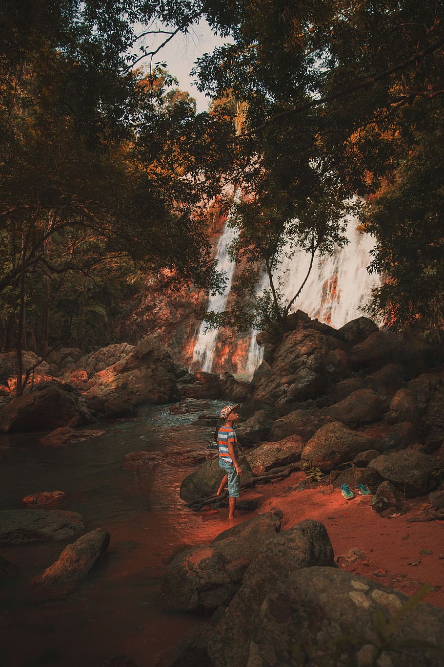 child standing under tree near waterfalls, plant, forest, real people, HD wallpaper