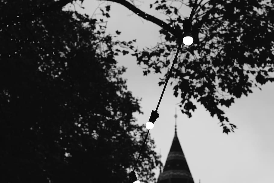 lights, tree, trees, string, hanging, plant, architecture, built structure HD wallpaper