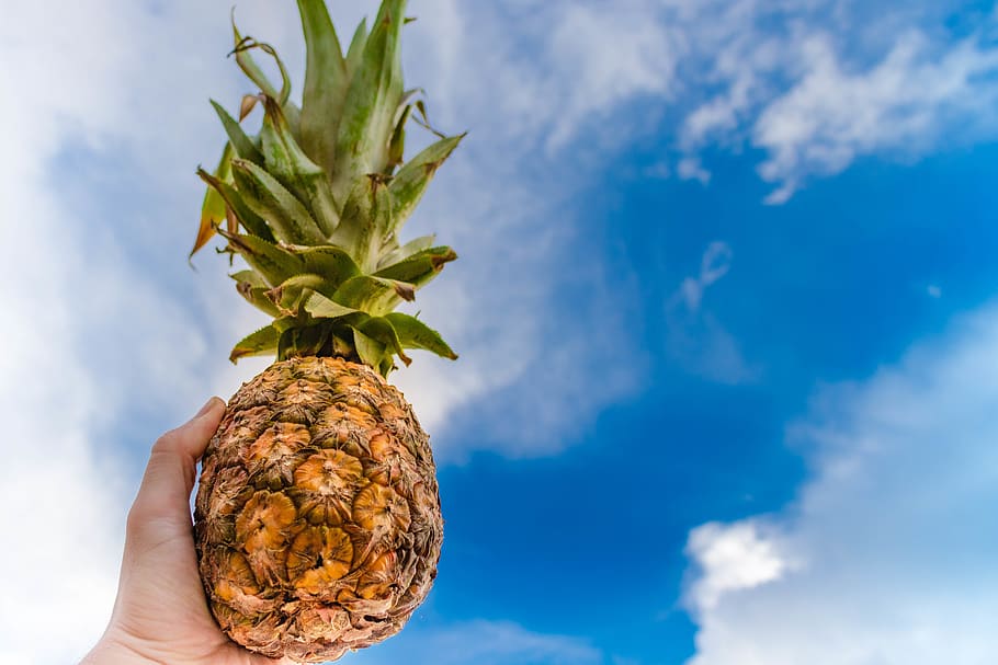 Human Left Hand Holding Pineapple While Raising on the Sky, blue sky HD wallpaper