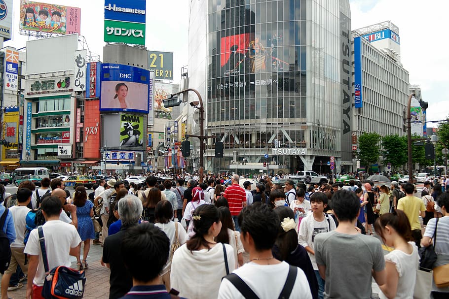 japan, shibuya-ku, shinjuku, crossing, tokyo, shopping, city