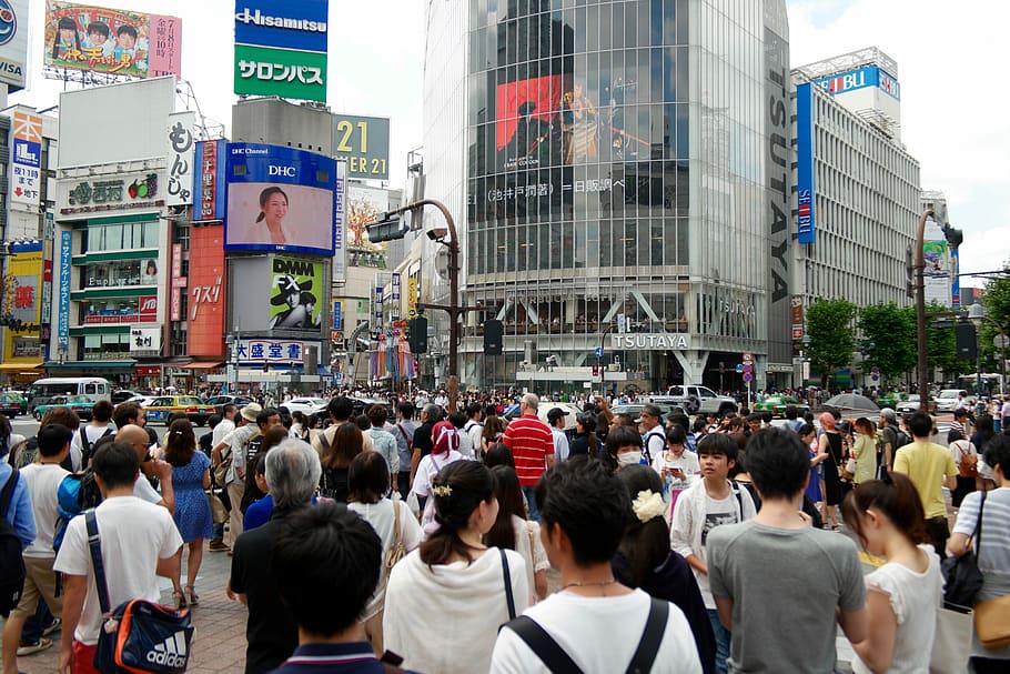 japan, shibuya-ku, shinjuku, crossing, tokyo, shopping, city, HD wallpaper