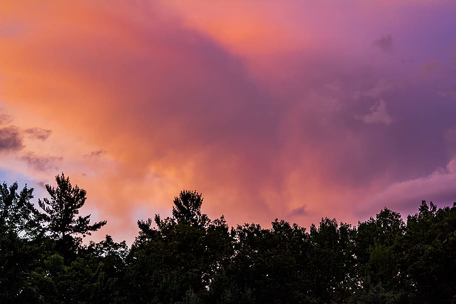 sunset, colorful, clouds, landscape, night, trees, forest, nature HD wallpaper