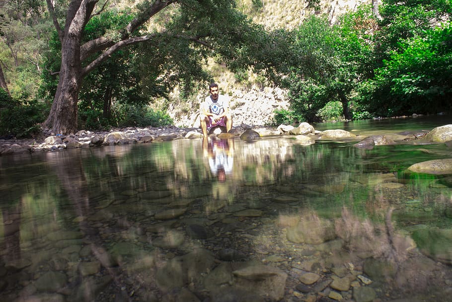 algeria, jijel, tree, water, plant, real people, reflection HD wallpaper