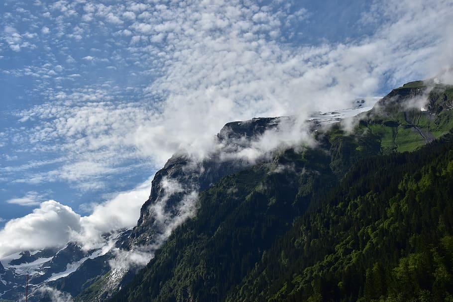 clouds, Swiss Alps, mountains, green, trees, snow, beauty in nature HD wallpaper