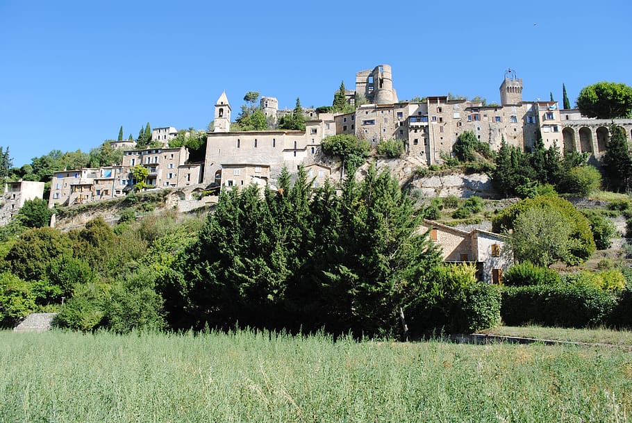 france, holiday, castle, background, plant, architecture, built structure HD wallpaper