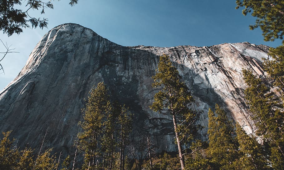 gray mountain beside trees, plant, nature, low angle view, rock HD wallpaper
