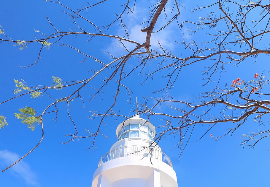 architecture, tower, building, lighthouse, beacon, plant, tree HD wallpaper