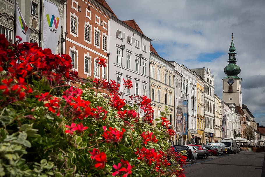 wels, city of wels, austria, marketplace, building exterior