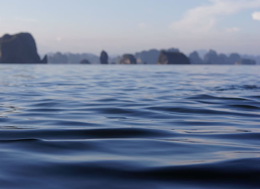 water, sea, coast, deep, islands, liquid, plants, trees, ocean HD wallpaper