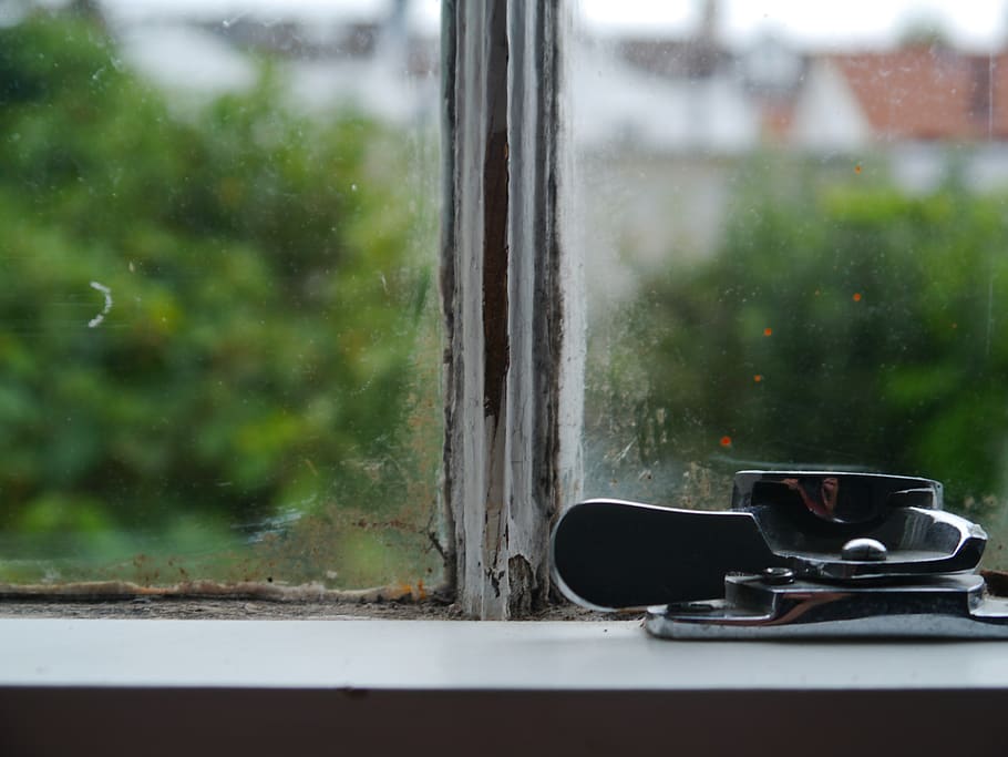garden, window, cup, transparent, glass - material, mug, coffee cup HD wallpaper