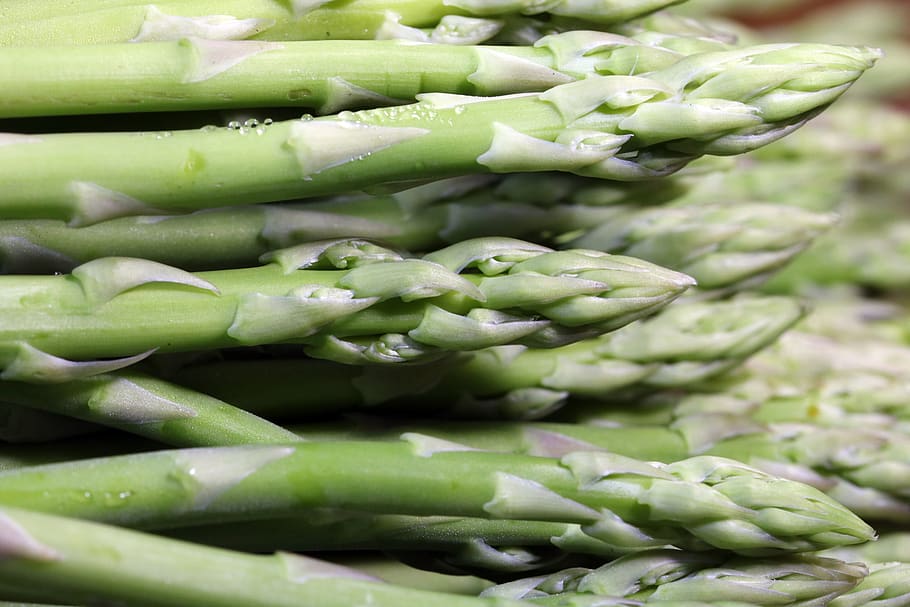 asparagus, vegetables, nature, leading, vitamin, production, HD wallpaper
