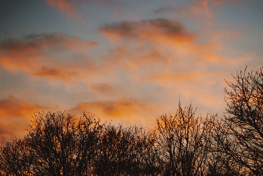 nature, outdoors, sky, sunset, flight, red sky, dusk, dawn HD wallpaper