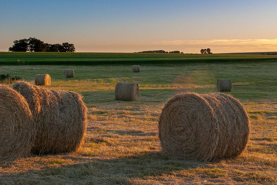 boot, fields, sunset, nature and wildlife, twilight, straw HD wallpaper