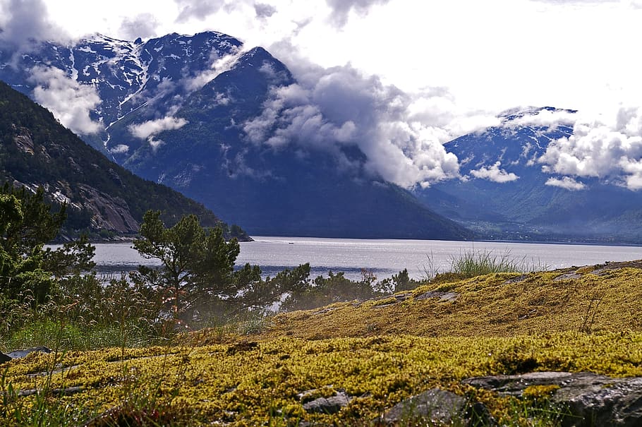 hardanger fjord, norway, tourism, landscape, scenic, water, HD wallpaper