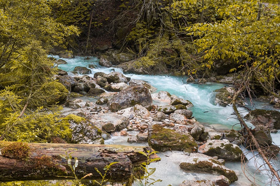 nature, water, river, landscape, stone, leaves, rock, solid HD wallpaper