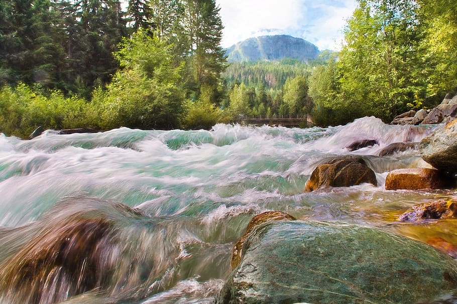 water, flow, waterfall, nature, stream, river, jungle, forest HD wallpaper