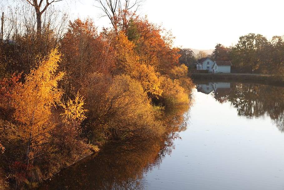 fall, channel, orange, water, colorful, buildings, tree, trees HD wallpaper