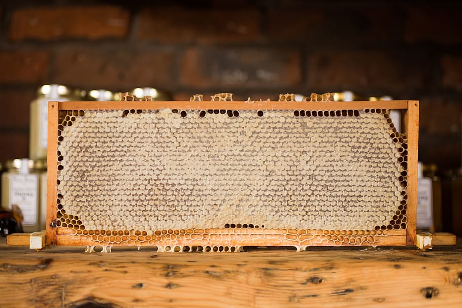 langstroth hive board, united kingdom, knutsford, honey, honey comb HD wallpaper