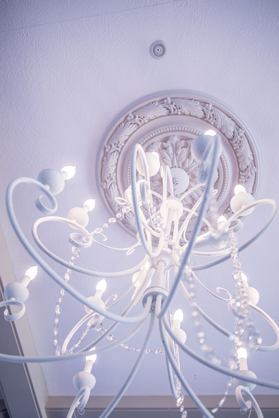 white, lights, lighting, chandelier, ceiling, lampp, white flourescent HD wallpaper