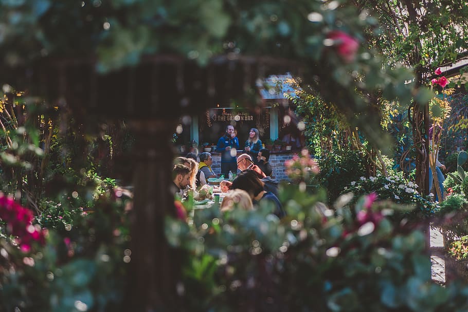 spring, eat, drink, plants, social, hangout, glimpse, street HD wallpaper